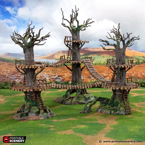 The forest forts terreno - the,